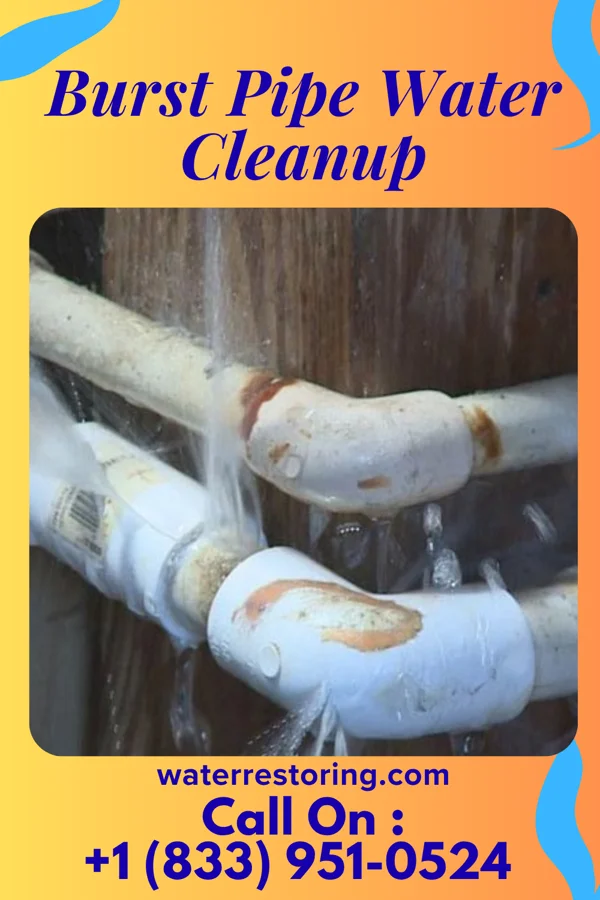 Burst Pipe Water Cleanup in Swartzville, PA