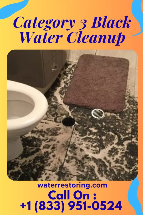 Category 3 Black Water Cleanup in Swartzville, PA