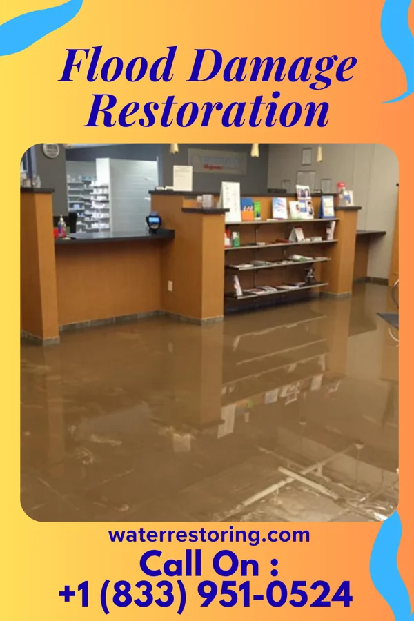 Flood Damage Restoration in Swartzville, PA