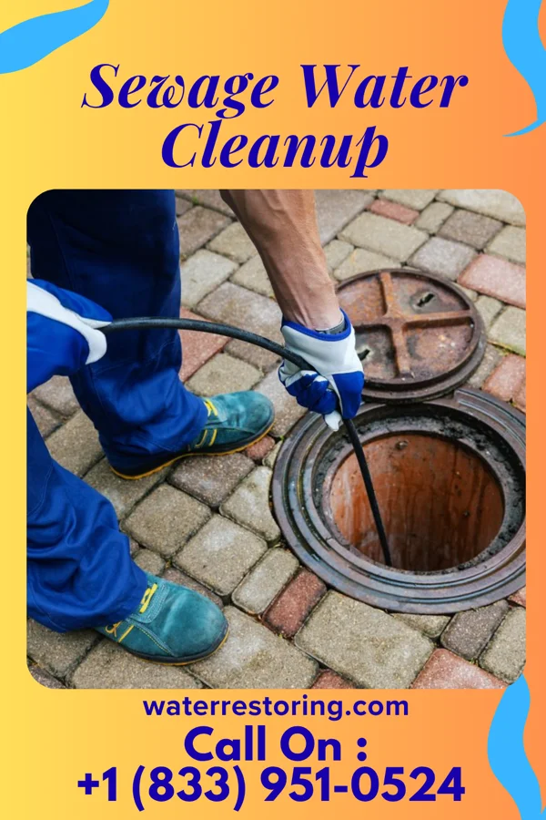 Sewage Water Cleanup in Swartzville, PA
