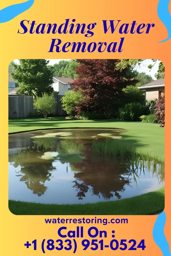 Standing Water Removal in Swartzville, PA